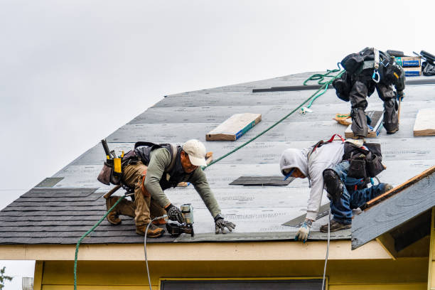 Professional Roofing technician working in New Hartford, IA